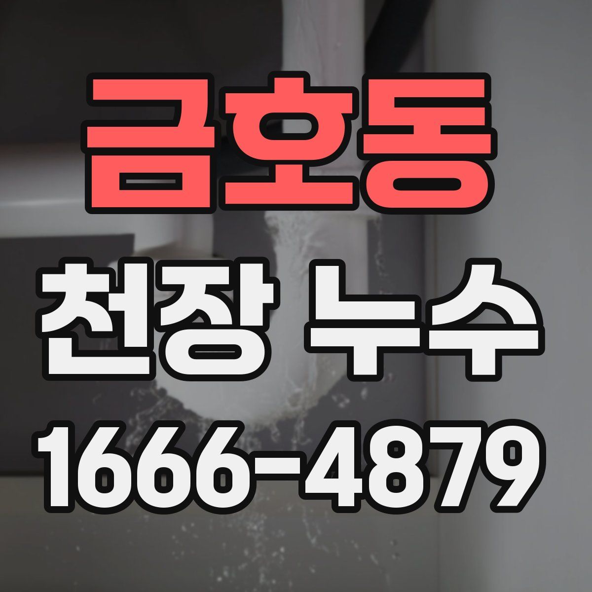 금호동 천장 누수