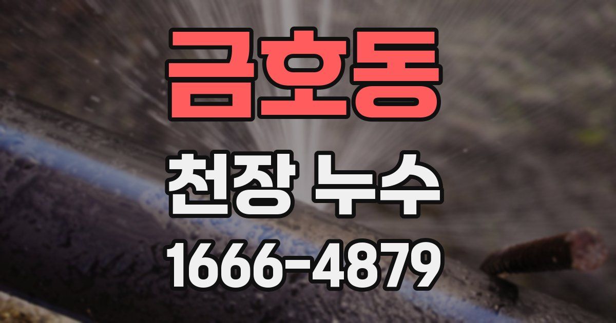 금호동 천장 누수