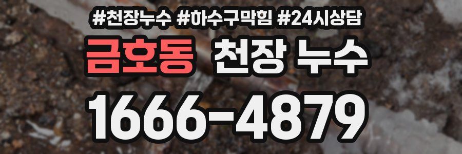 금호동 천장 누수