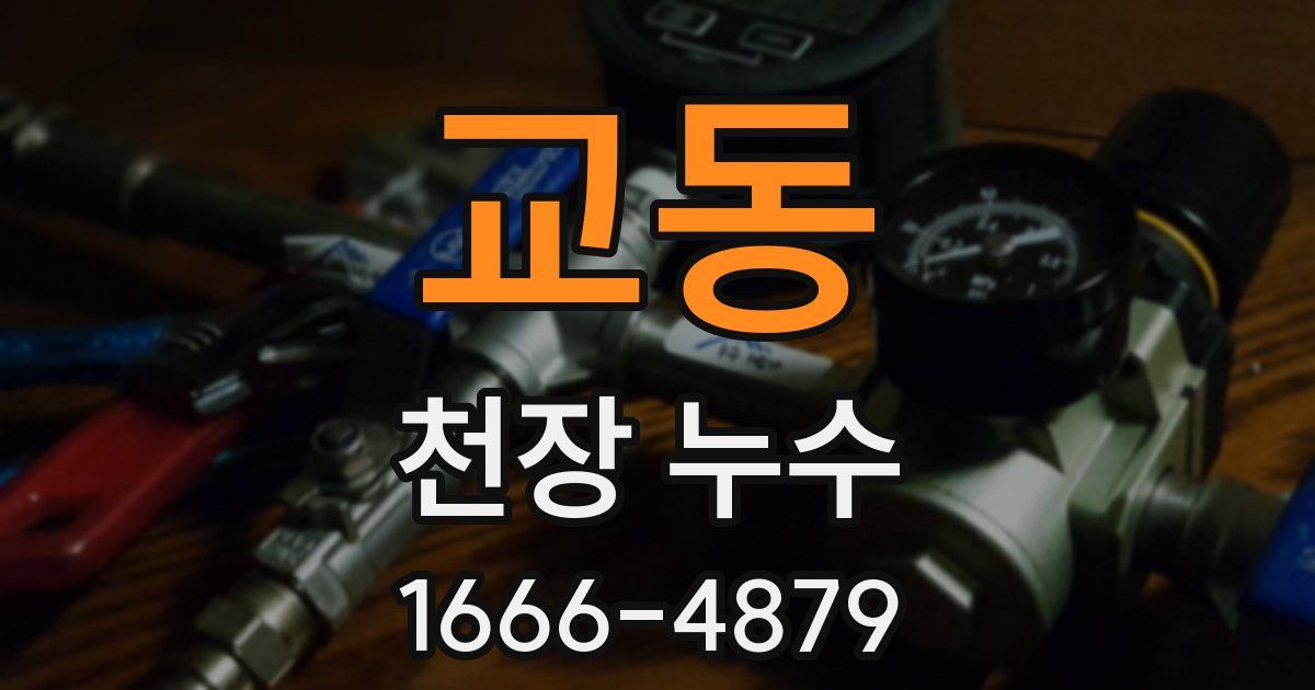 교동 천장 누수