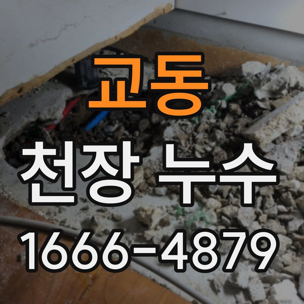 교동 천장 누수