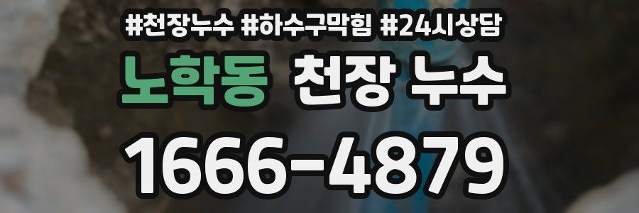 노학동 천장 누수