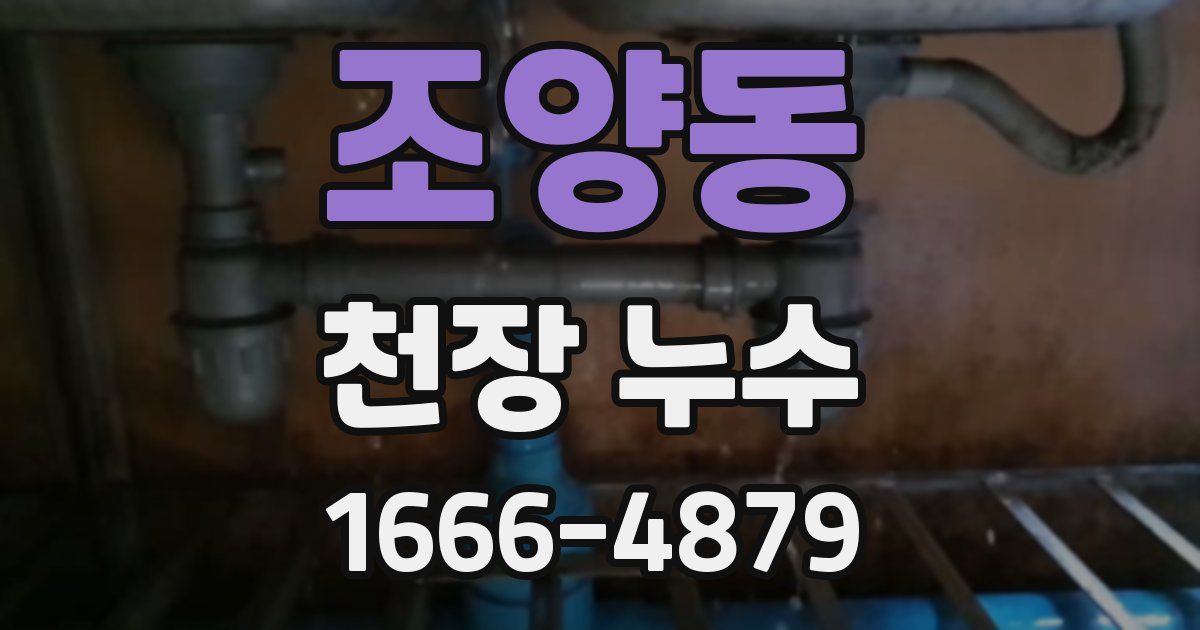 조양동 천장 누수