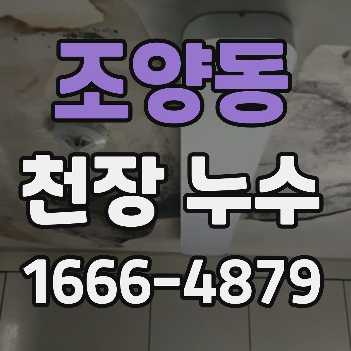 조양동 천장 누수