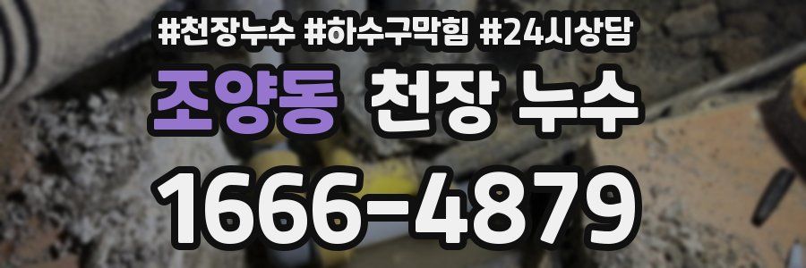 조양동 천장 누수