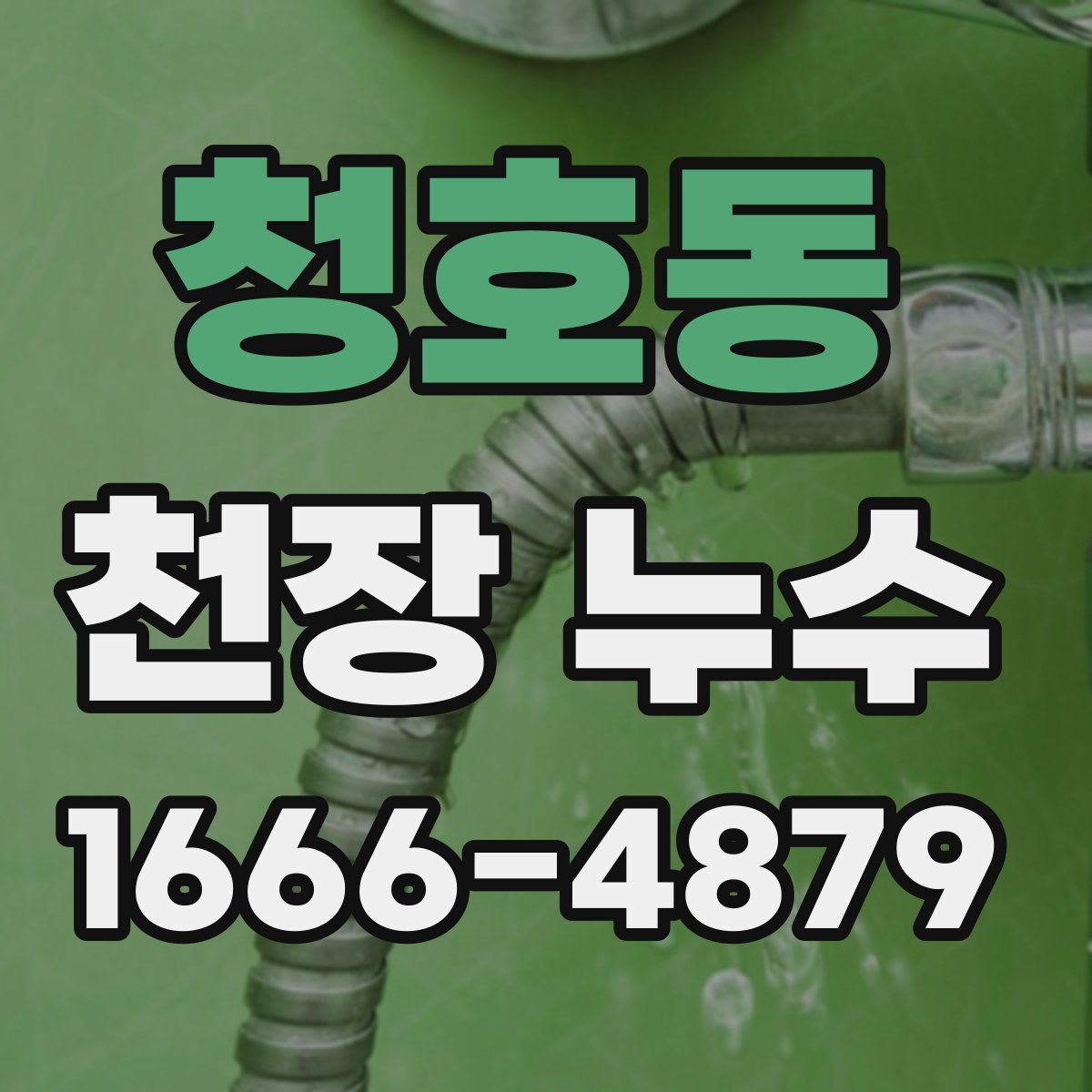 청호동 천장 누수