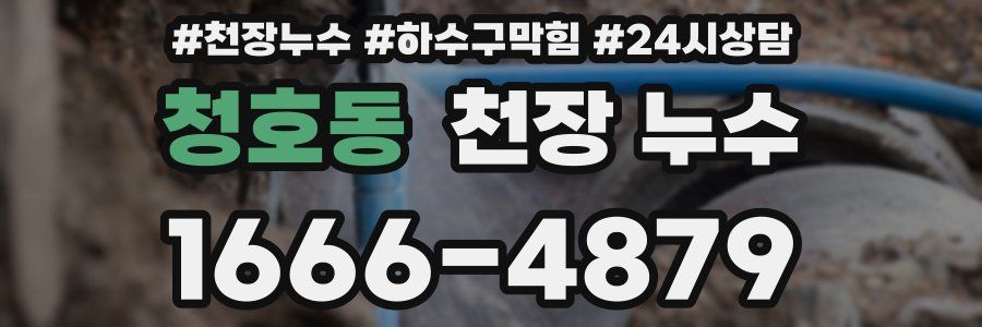 청호동 천장 누수