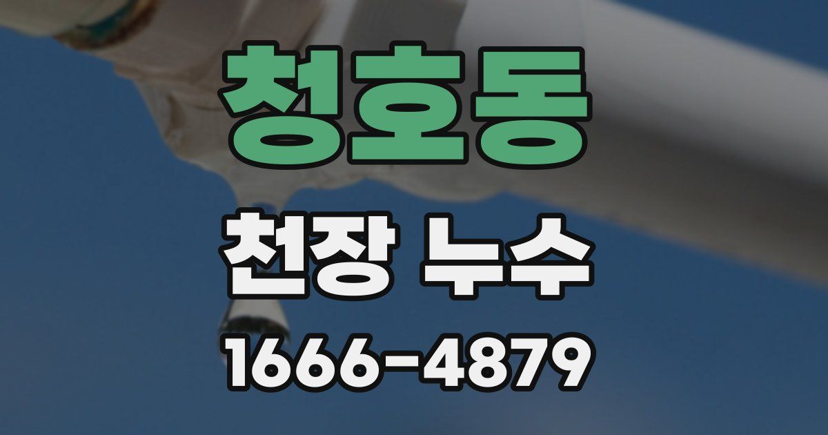 청호동 천장 누수