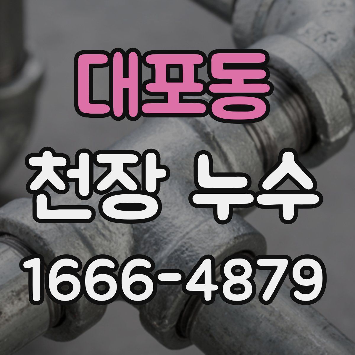 대포동 천장 누수