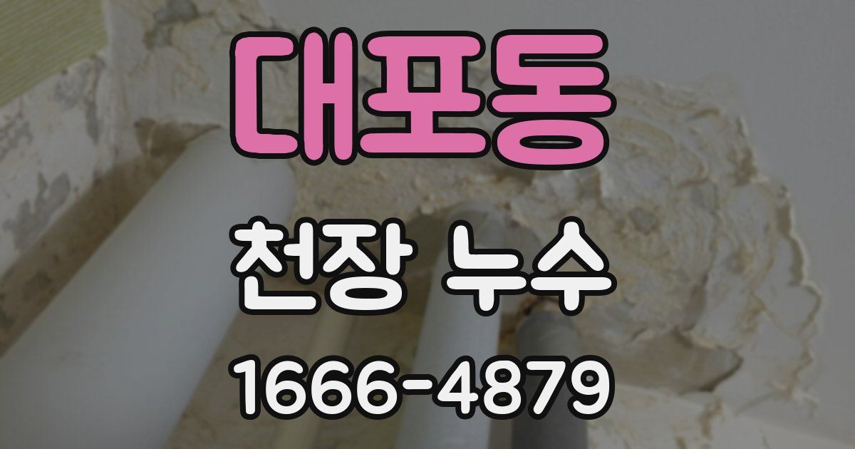 대포동 천장 누수
