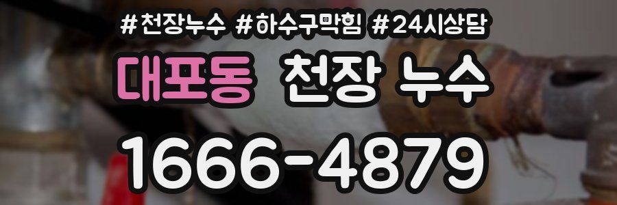 대포동 천장 누수