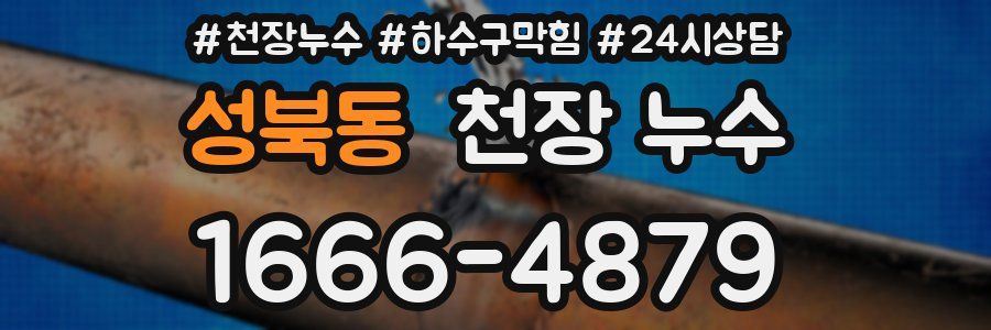 성북동 천장 누수