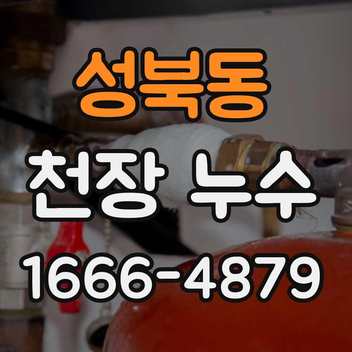 성북동 천장 누수