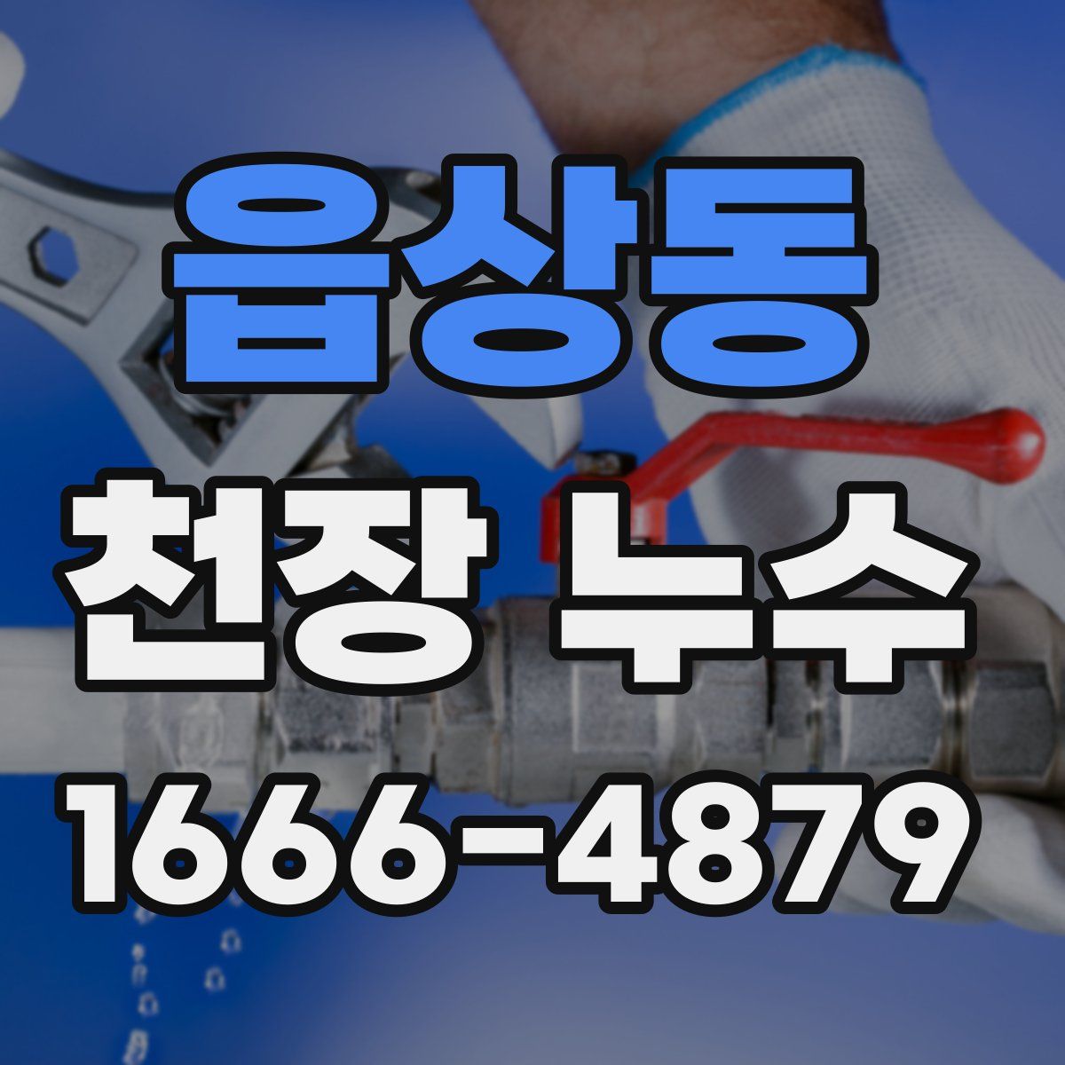 읍상동 천장 누수