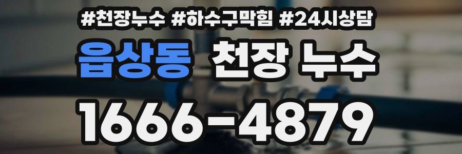 읍상동 천장 누수