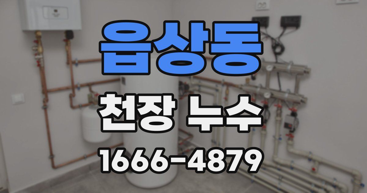 읍상동 천장 누수