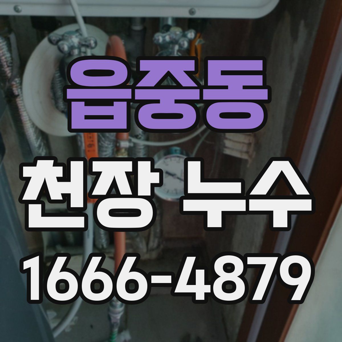 읍중동 천장 누수