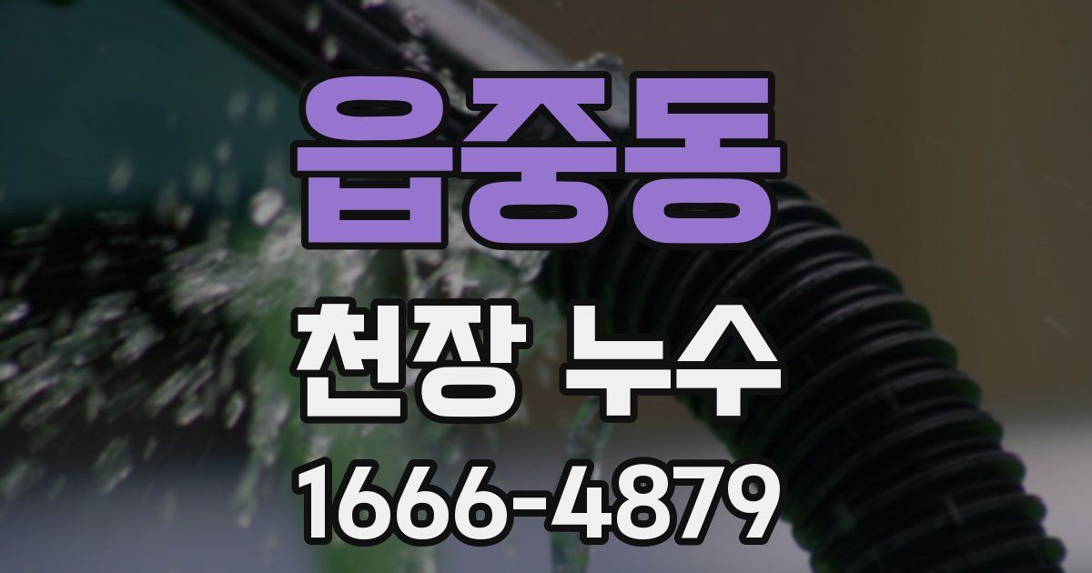 읍중동 천장 누수