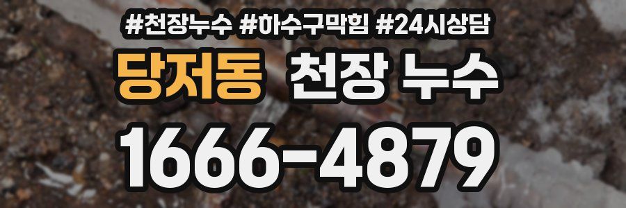 당저동 천장 누수