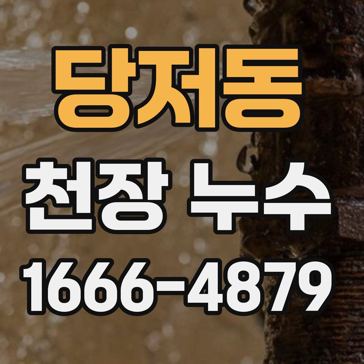 당저동 천장 누수