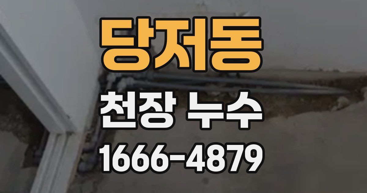 당저동 천장 누수