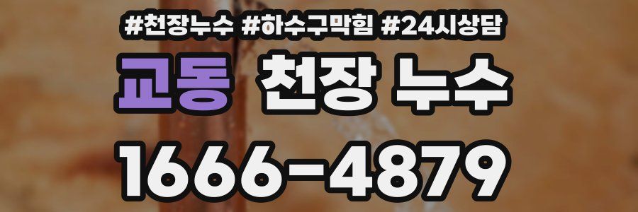 교동 천장 누수