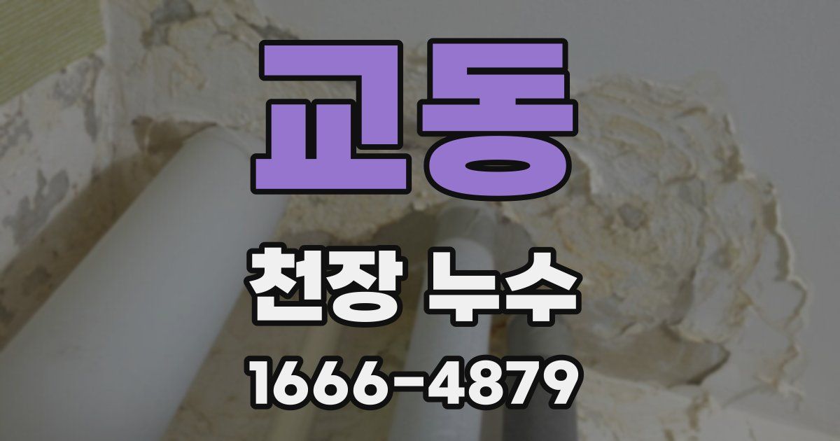 교동 천장 누수