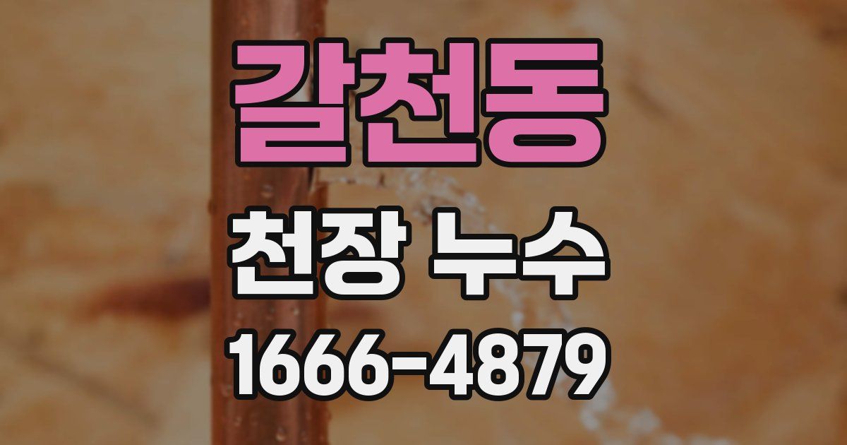 갈천동 천장 누수