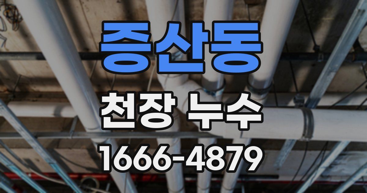 증산동 천장 누수