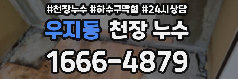 우지동 천장 누수