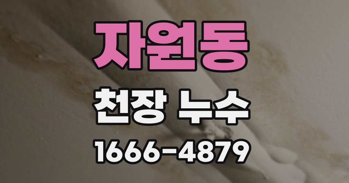 자원동 천장 누수