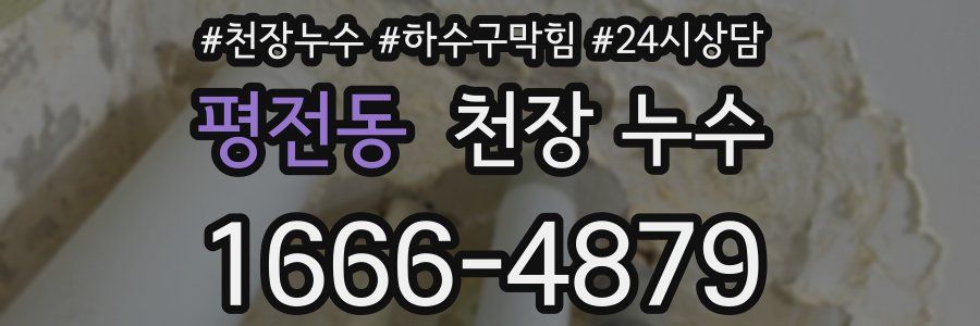 평전동 천장 누수