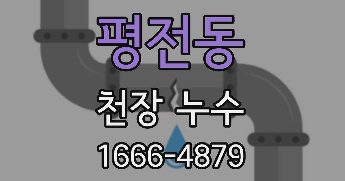 평전동 천장 누수