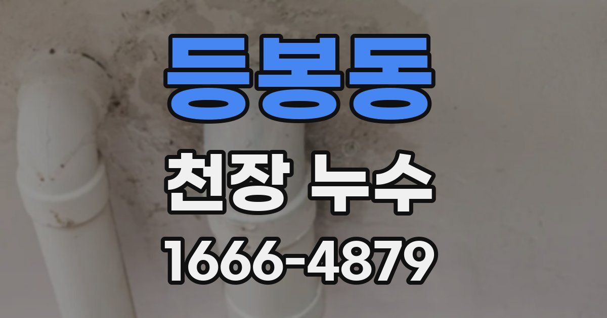 등봉동 천장 누수