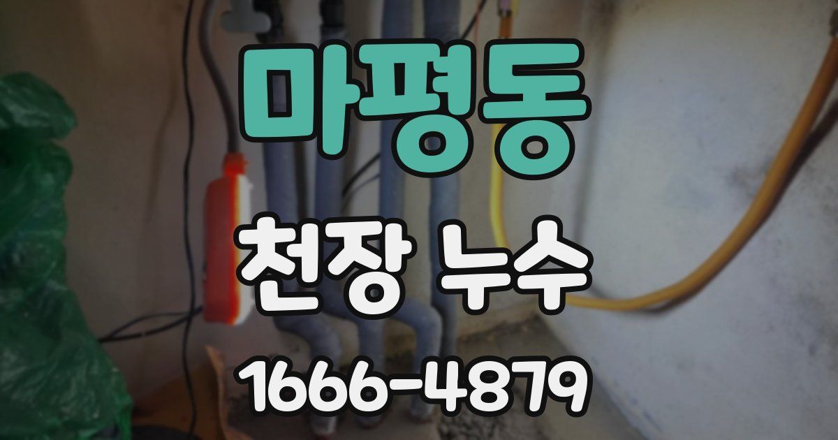 마평동 천장 누수