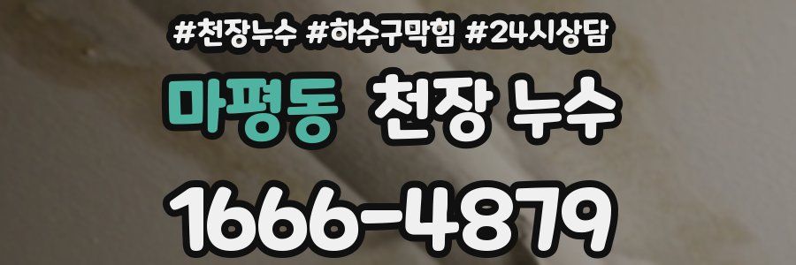 마평동 천장 누수