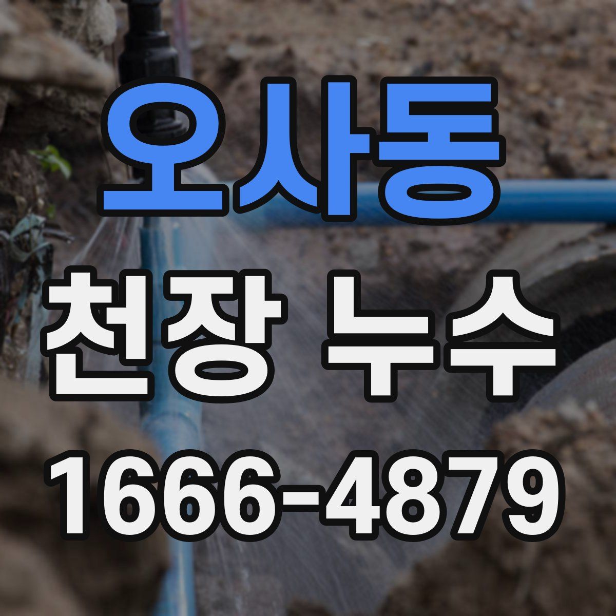 오사동 천장 누수