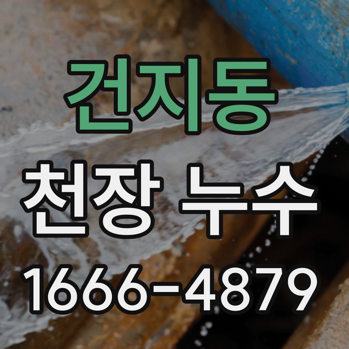 건지동 천장 누수