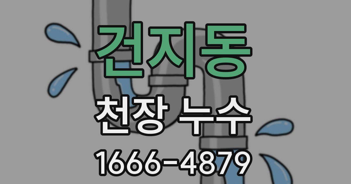 건지동 천장 누수