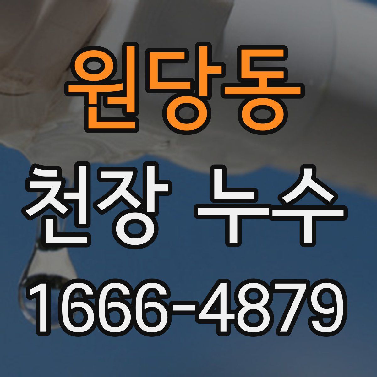 원당동 천장 누수