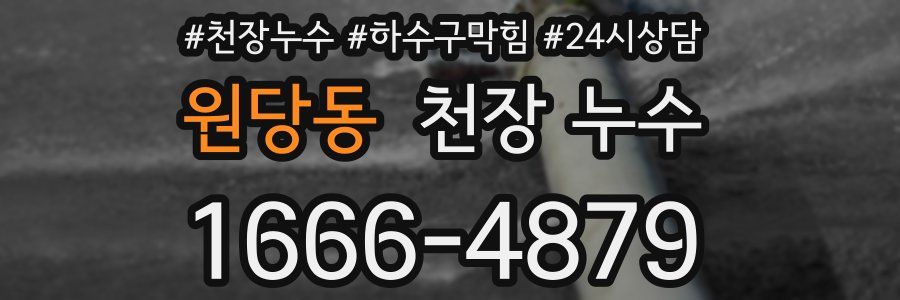 원당동 천장 누수