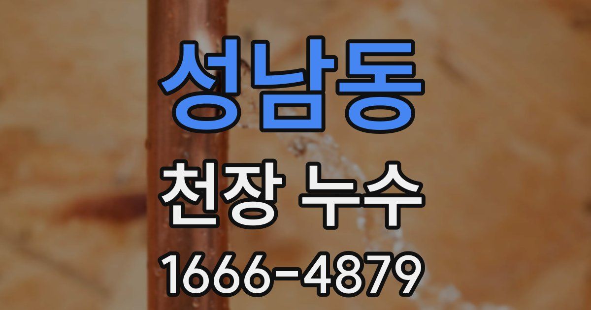 성남동 천장 누수