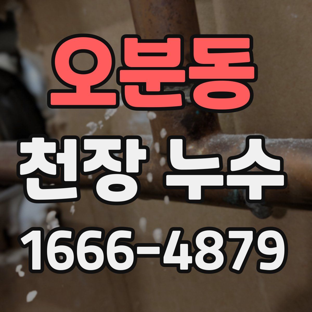 오분동 천장 누수