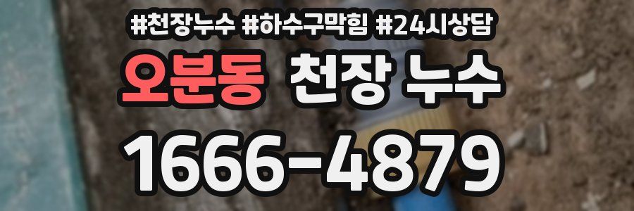 오분동 천장 누수