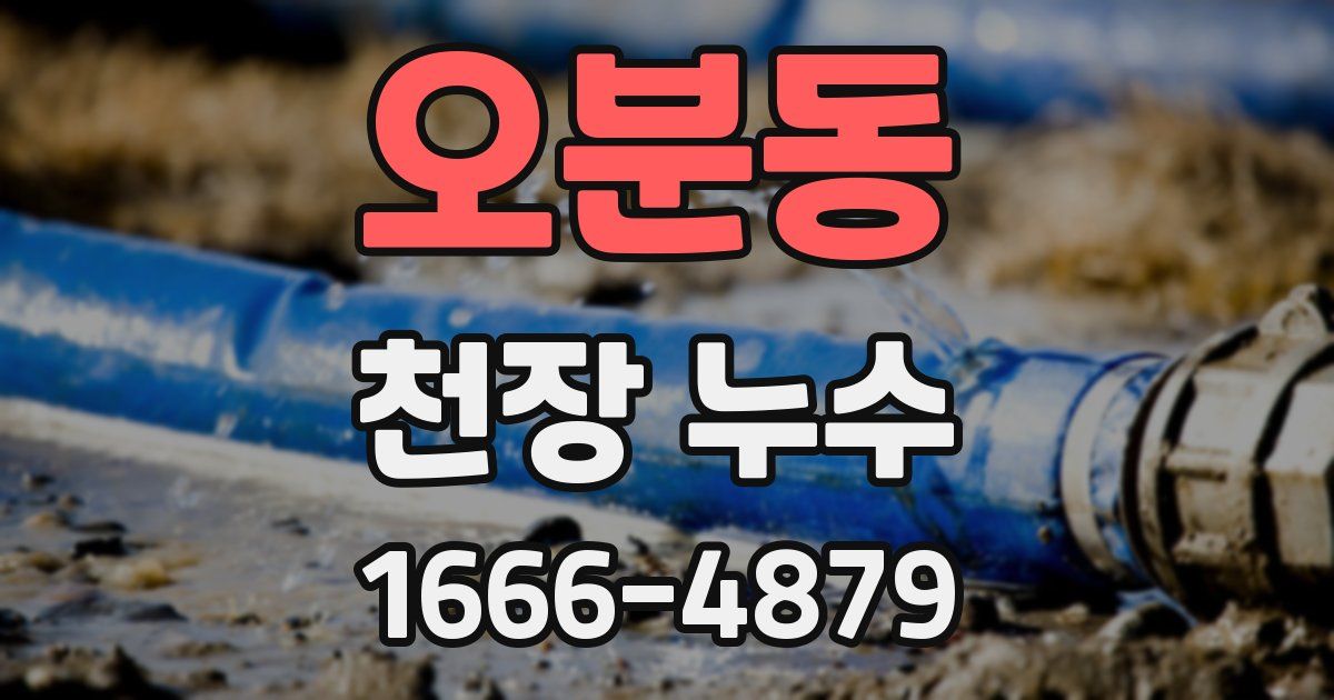 오분동 천장 누수