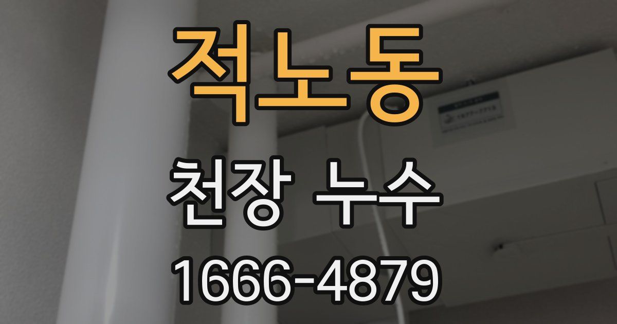 적노동 천장 누수