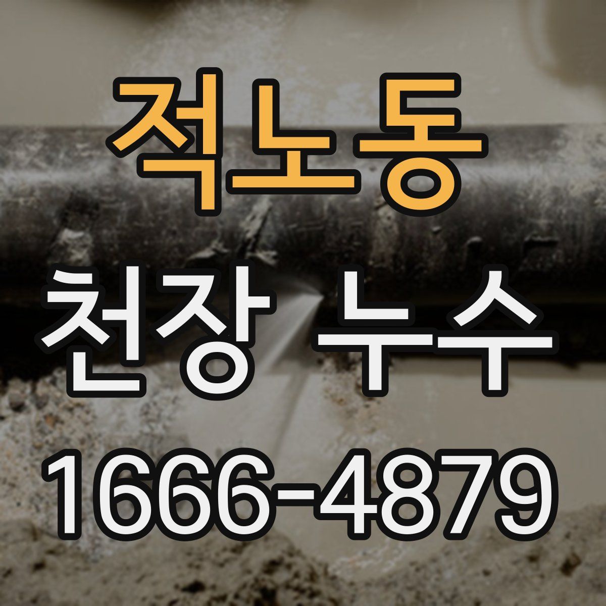 적노동 천장 누수