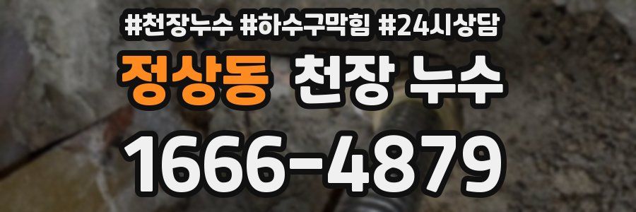 정상동 천장 누수