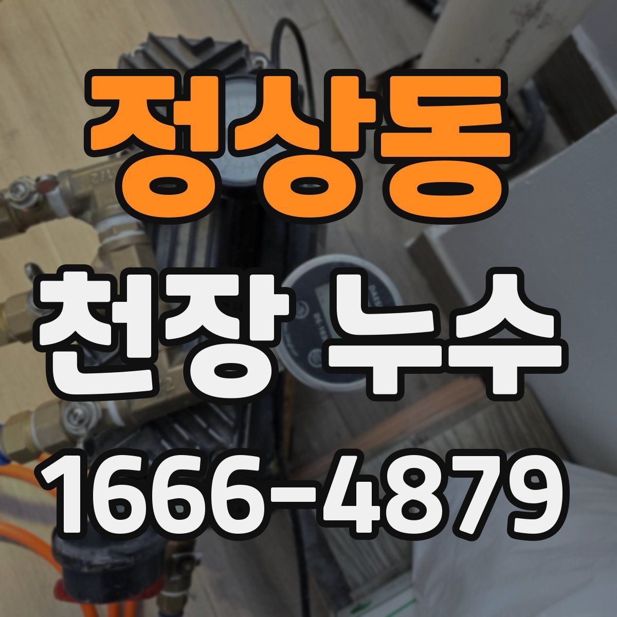 정상동 천장 누수