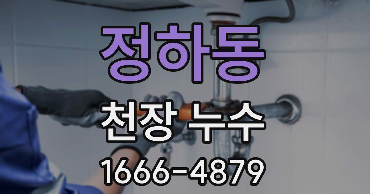 정하동 천장 누수